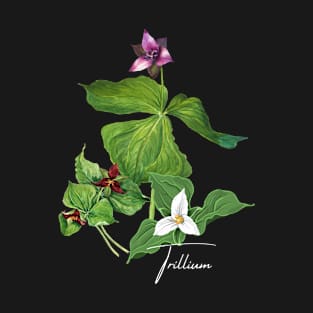 Trillium Woodland Wildflowers T-Shirt