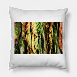 Tobacco Leaves Pillow