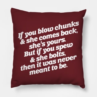 If You Blow Chuncks ... If You Spew Pillow