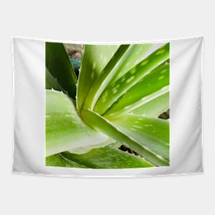 Aloe vera plant Tapestry