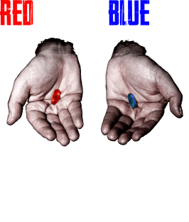 Red Pill Blue Pill MEME Freedom of Choice, Freedom, Free Will, Matrix Magnet