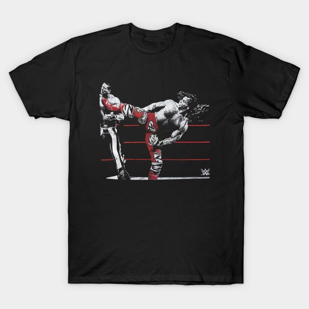 Shawn Michaels Ripple Junction Finishing Move Graphic