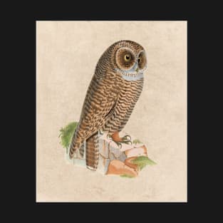 Vintage Animal bird owl old illustration T-Shirt