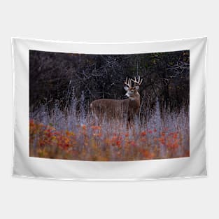 Looking up at royalty - White-tailed Deer Tapestry