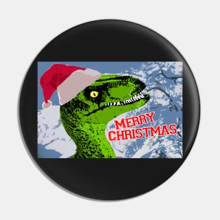 Snappy Christmas! Pin