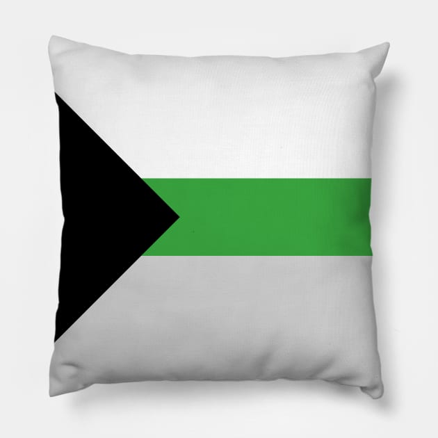 Demiromantic Flag Pillow by Marissa