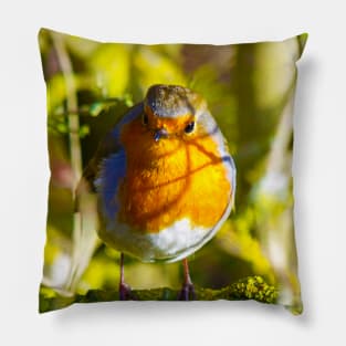 British Robin Pillow