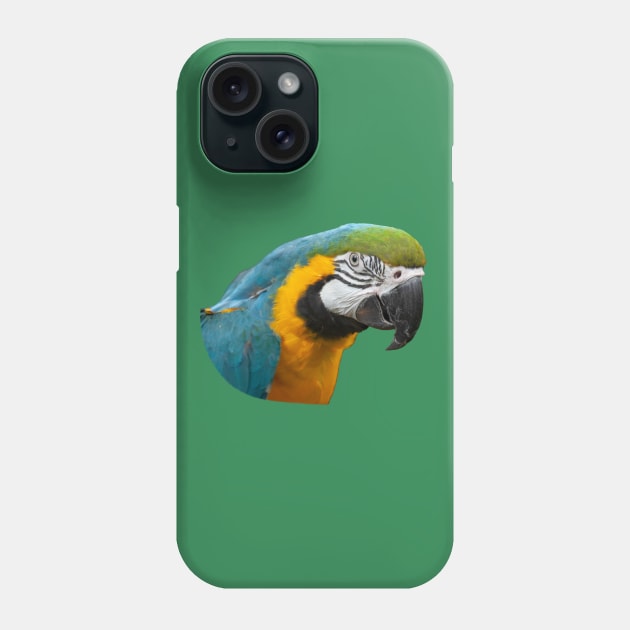 Blue and Gold Macaw Parrot Phone Case by FragrantFieldsPhotoWorks