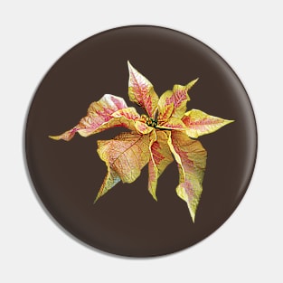 Poinsettias - Fancy Pink and Yellow Poinsettia Pin