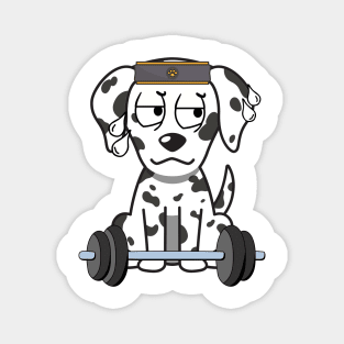 Funny dalmatian is exercising Magnet