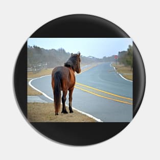 Assateague Pony Looking Down the Road Pin