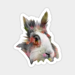 Bunny Disco Magnet