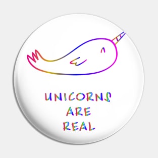 Unicorn raibow Pin