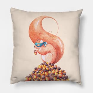 The Bandit Squirrel Pillow