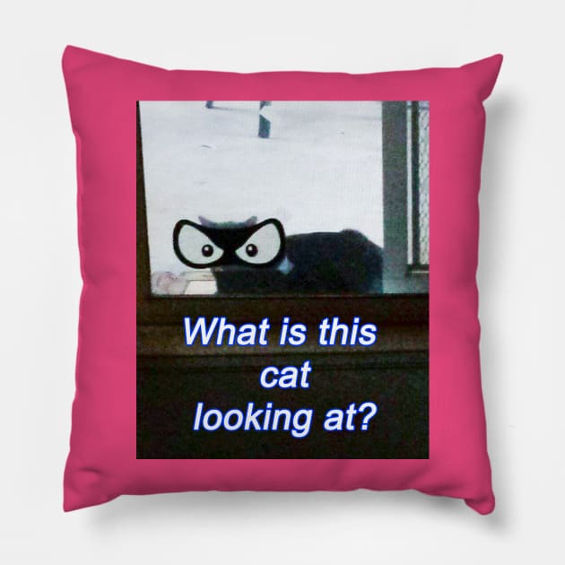 Crazy Eyes Kitty Pillow by Senomar