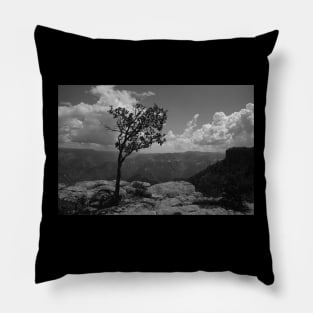 Black and White Scenic View Pillow