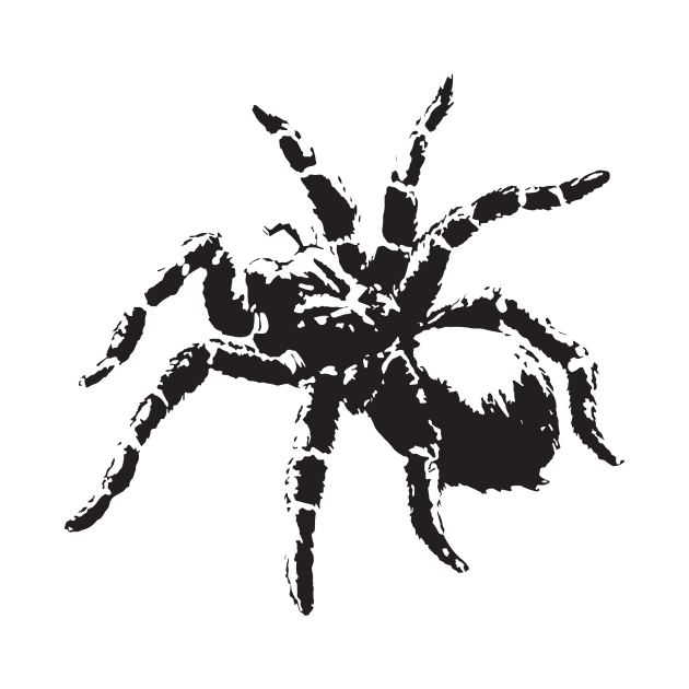 CreepyCool Tarantula by CreepyCool