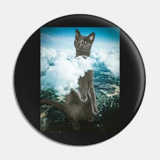 Curious Cat Pin