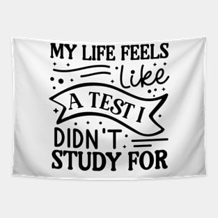 My life feels like a test I didn’t study for Tapestry