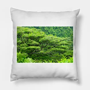 Shades of Green Pillow