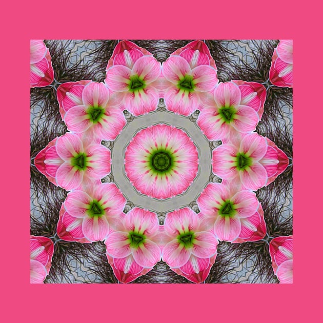 Expressionist Amaryllis Flower Mandala Kaleidoscope by Artist4God