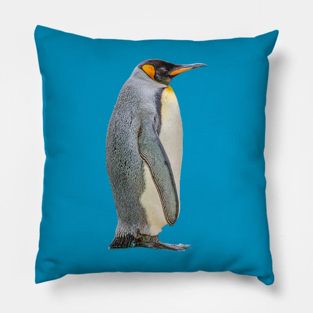 Penguin Pillow by dalyndigaital2@gmail.com