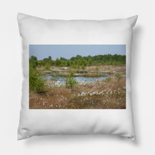 Neustädter Moor, floating grass, Lower Saxony, Germany Pillow