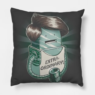 Extraordinary Pillow