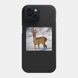 Roe buck in the snow Phone Case