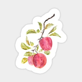 red apple watercolor painting Magnet