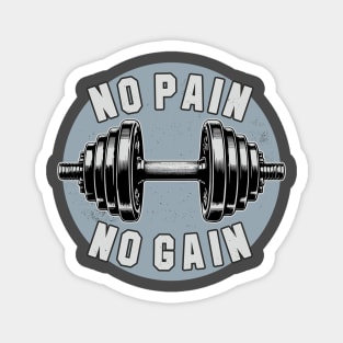 No Pain No Gain Dumbbell Workout Gym Fitness Training Mens Magnet