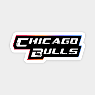 Chicago Bulls Basketball Team Magnet