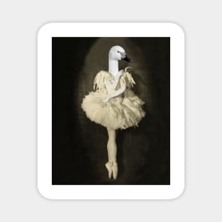 Swan Lake Ballerina Magnet