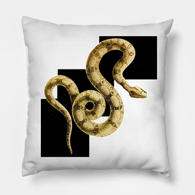 Snake on chess Pillow by Marccelus