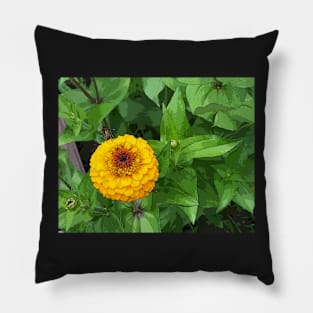 Tasty Sunshine Pillow