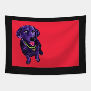 Black Lab over Red Tapestry