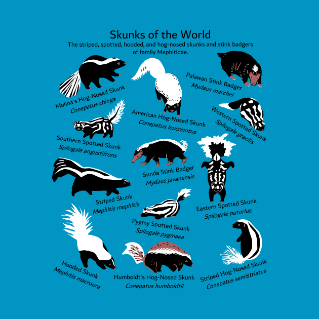 Skunks of the World: Species of Mephitidae by ELMayer