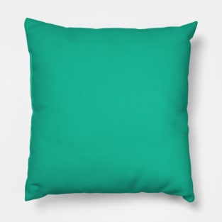 Solid Mountain Meadow Color Pillow