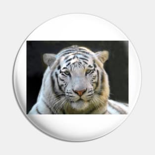 White Face Tiger Pin