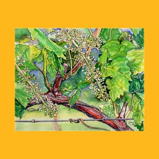 Grape vines in spring T-Shirt