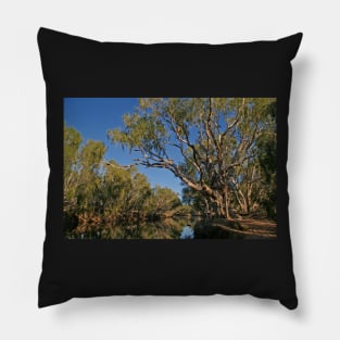 Billabong morning light - Junction Creek Pillow