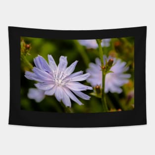 Purple chicory flower Tapestry