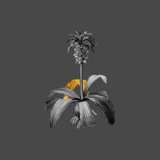 Black and Gold Leaf - Eucomis Regia - Vintage Botanical T-Shirt
