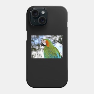 Harlequin Macaw Portrait Phone Case