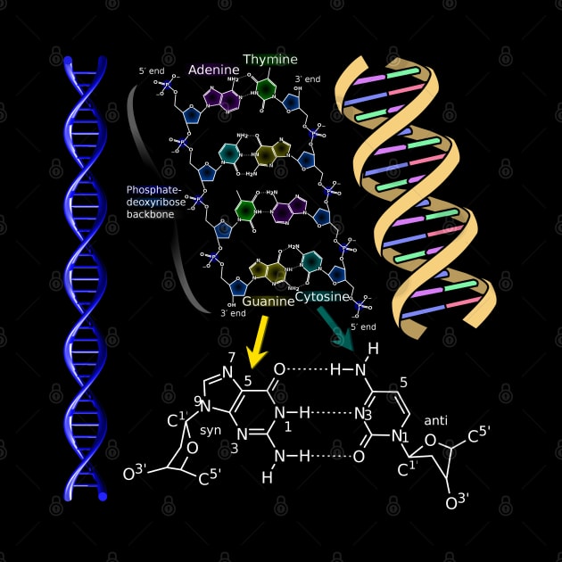 DNA Double Helix Chemical Formula Molecules Science Art by Brasilia Catholic