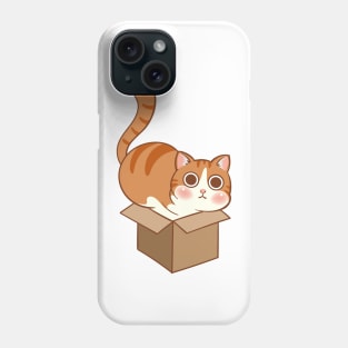 Orange cat in the box Phone Case