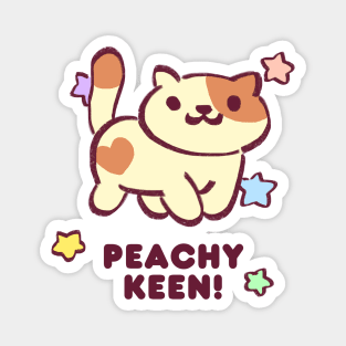 kitty collector rare cat peaches with starry sparkles being peachy keen Magnet