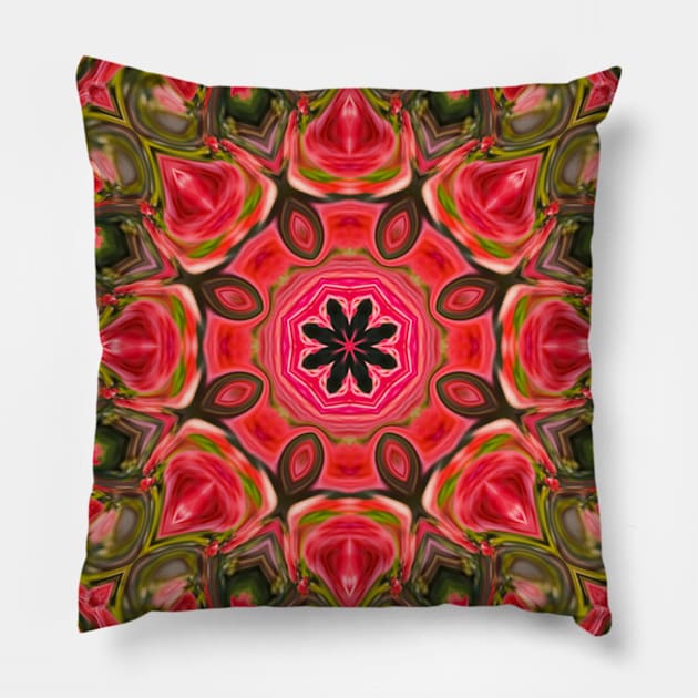 Star Flower of Symmetry Nineteen Pillow by MarkusMikaelH
