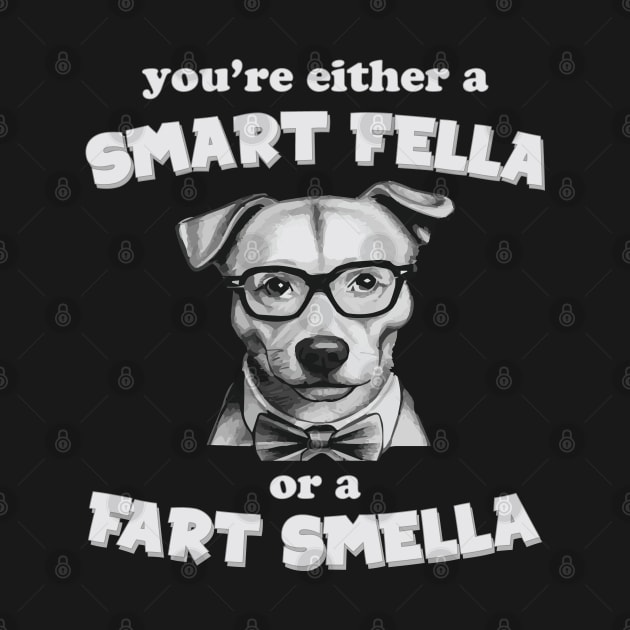 you're either a smart fella or a fart smella by ddesing