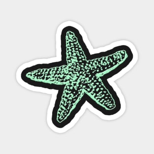 Starfish, Seafoam Green Magnet